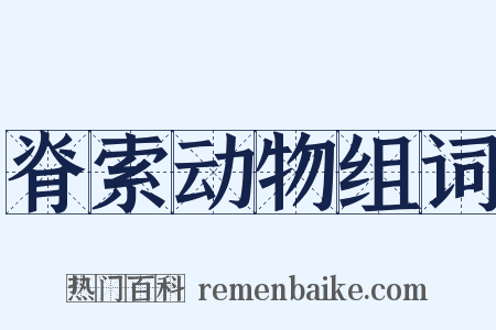 脊索动物组词是什么意思的图片